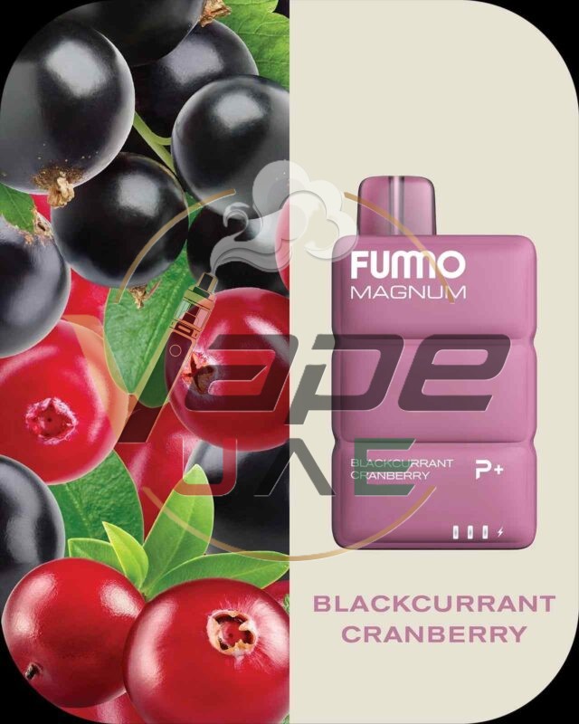BLACKCURRANT-CRANBERRY-FUMMO-Magnum-8000-Puffs-2-Disposable-Vape-in-Dubai